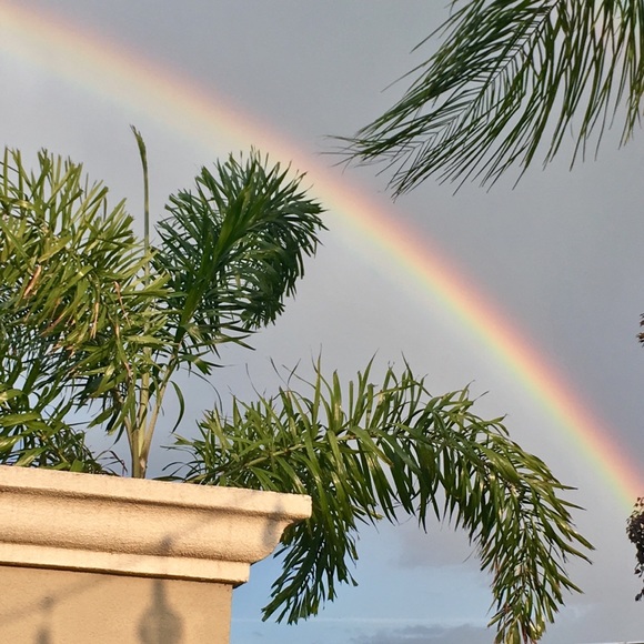 Meet your Posher, Teri - Picture 5 of 6